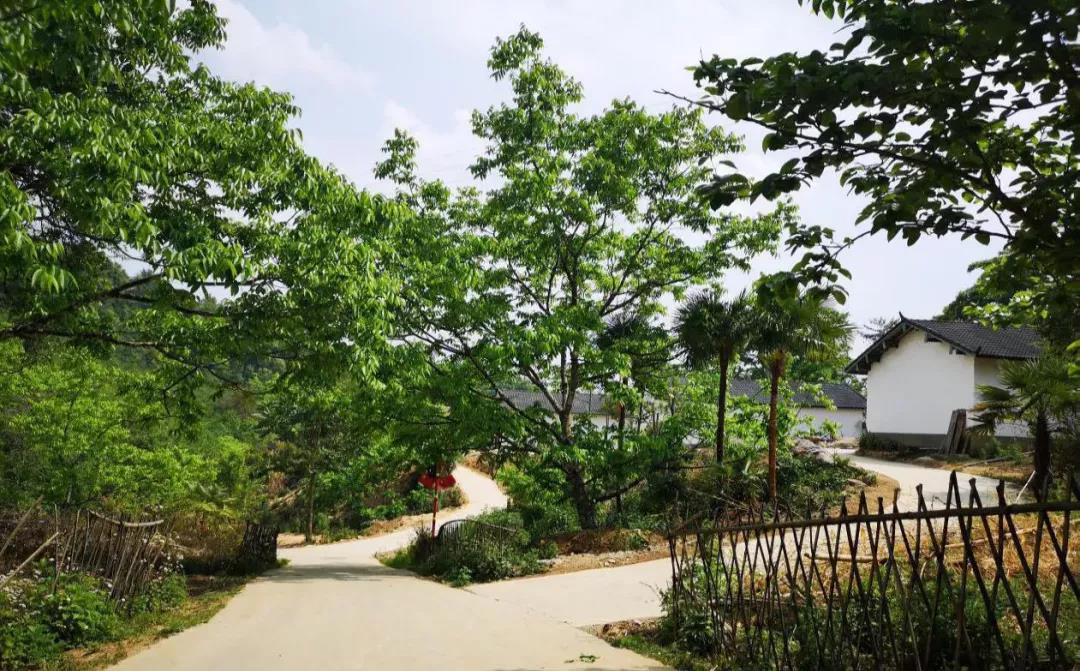 云南鄉(xiāng)村旅游，“玩”出特色！德宏：打好發(fā)展組合拳