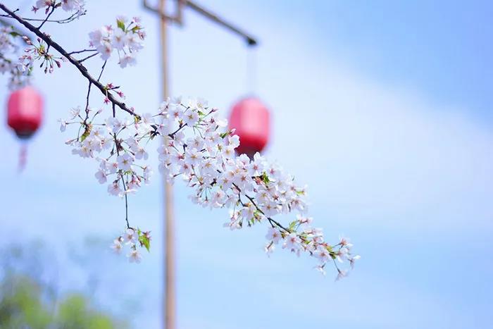 旅游景區(qū)如何良性循環(huán)應(yīng)對市場變化？
