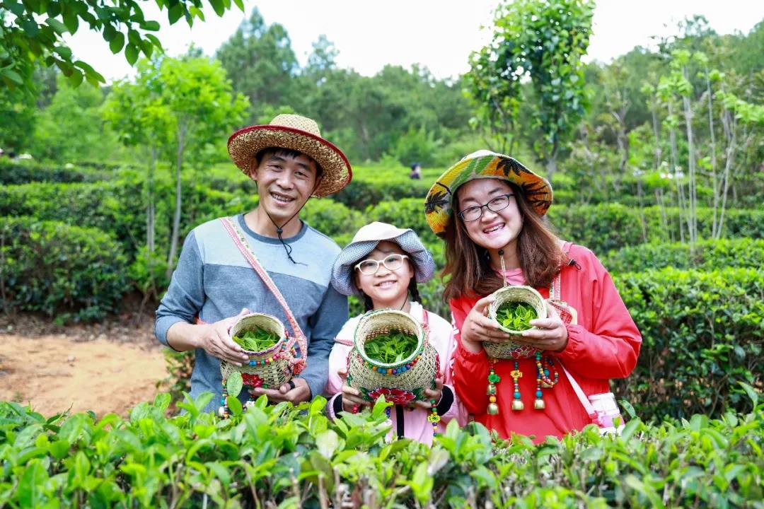 什么顏色最夏天？ 當(dāng)然是郁郁蔥蔥的綠色，周末帶著孩子體驗(yàn)最盎然的綠意