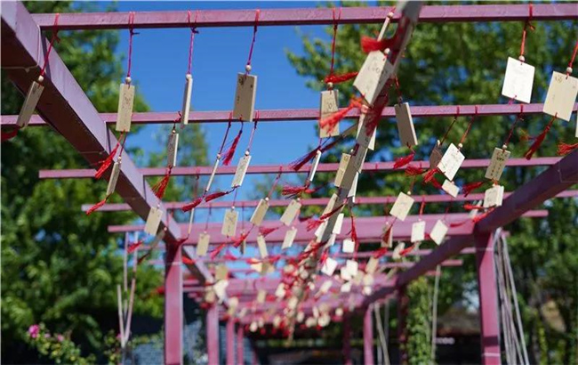 賞花親水、荷塘野趣……楚雄東華濕地公園許你一個(gè)繽紛夏日