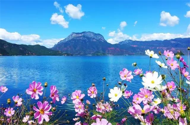 云南旅拍地推薦：七月的瀘沽湖，竟然可以美成這樣！