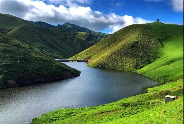云南露營場地：夏天的大海草山，已經(jīng)美成了天堂！