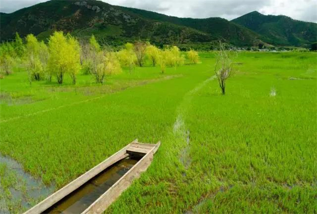云南會(huì)展策劃：關(guān)于瀘沽湖的好風(fēng)景，都想與你分享！