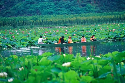 2022普者黑夏令營：山水田園，萬畝荷花游學(xué)，探訪彝族古村，感知民族文化！