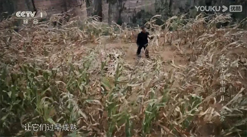 趣說人文歷史｜康乾盛世，“番薯盛世”？