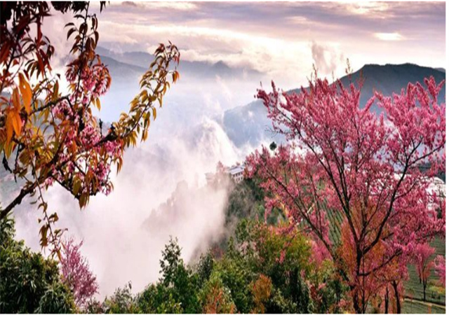 【聚焦旅交會(huì) 相約游大理】來南澗，在彝鄉(xiāng)體驗(yàn)自然之謎與民族之美