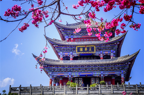 疫情過后，給自己來一場放縱的旅行...麗江的夏天愿你更美！