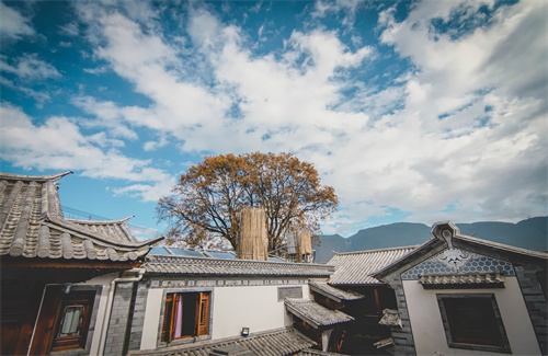 春節(jié)云南特輯 | 人少景美！春節(jié)云南旅游線路推薦三