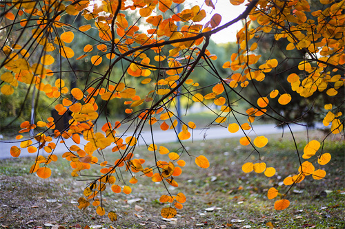 云南文創(chuàng)雪糕火出圈，“雪糕+景點”網(wǎng)紅式打卡驚靚一夏！