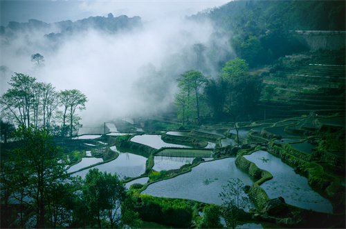 鄉(xiāng)村健康養(yǎng)生產(chǎn)業(yè)的客戶群體有哪些？它有什么開發(fā)要點？