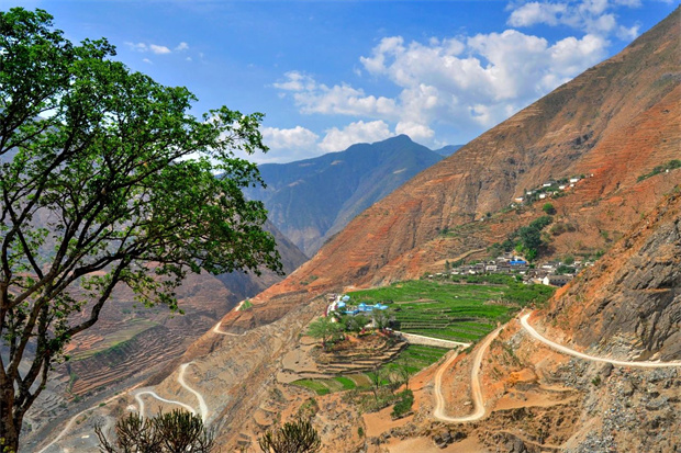 云南旅游,云南旅行社,云南團(tuán)建公司,云南會(huì)議公司,大理旅游,大理旅行社,大理團(tuán)建公司,大理會(huì)議公司：云南第一棵咖啡樹(shù)，在哪？