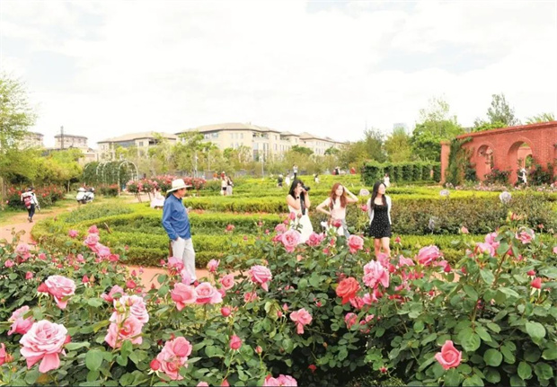 云南旅游,云南旅行社,云南團(tuán)建公司,云南策劃公司,云南會(huì)議公司,昆明旅游,昆明旅行社,昆明團(tuán)建公司,昆明策劃公司,昆明會(huì)議執(zhí)行：旅居昆明，在花海里通關(guān)四季！花歷正在更新，等你來(lái)簽收春天→